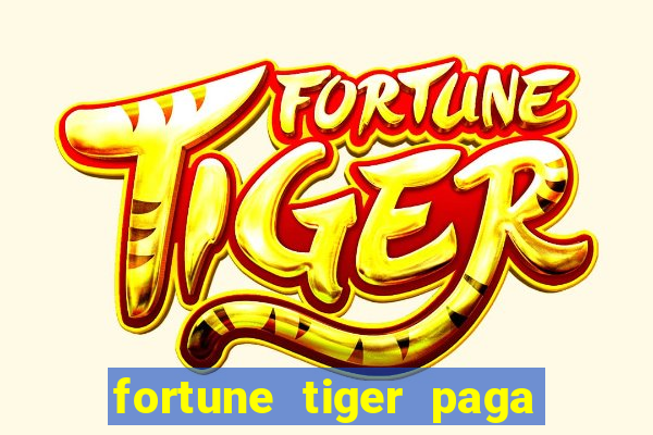fortune tiger paga de madrugada